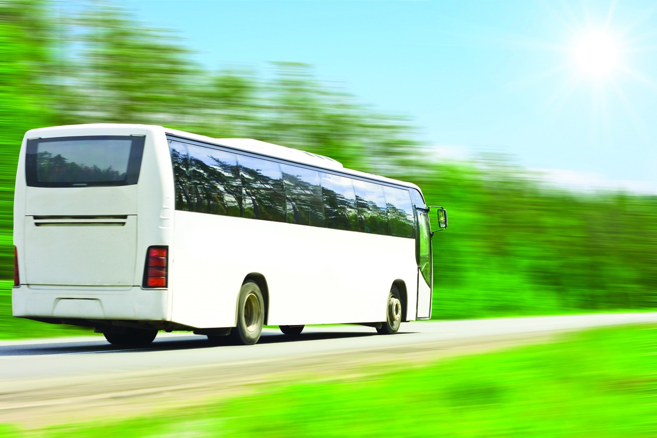 Exterior transportation vehicle panels