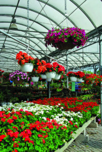 greenhouse roof panels