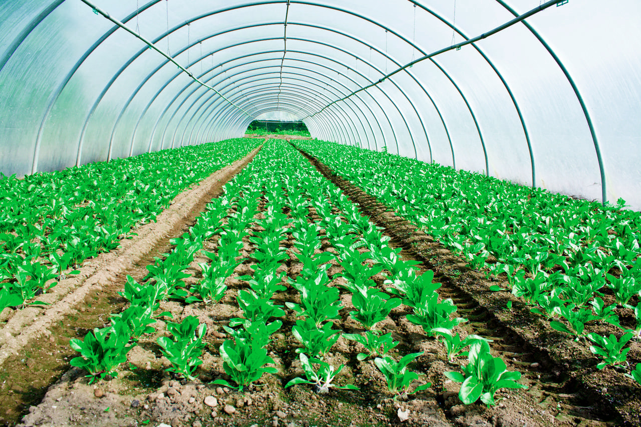 multiwall greenhouse panels