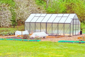 macrolux am small greenhouse panels