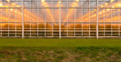 Polycarbonate Panels for Greenhouses